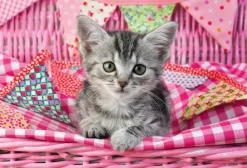 Puzzle 3x48 Meus bichinhos de estimação favoritos