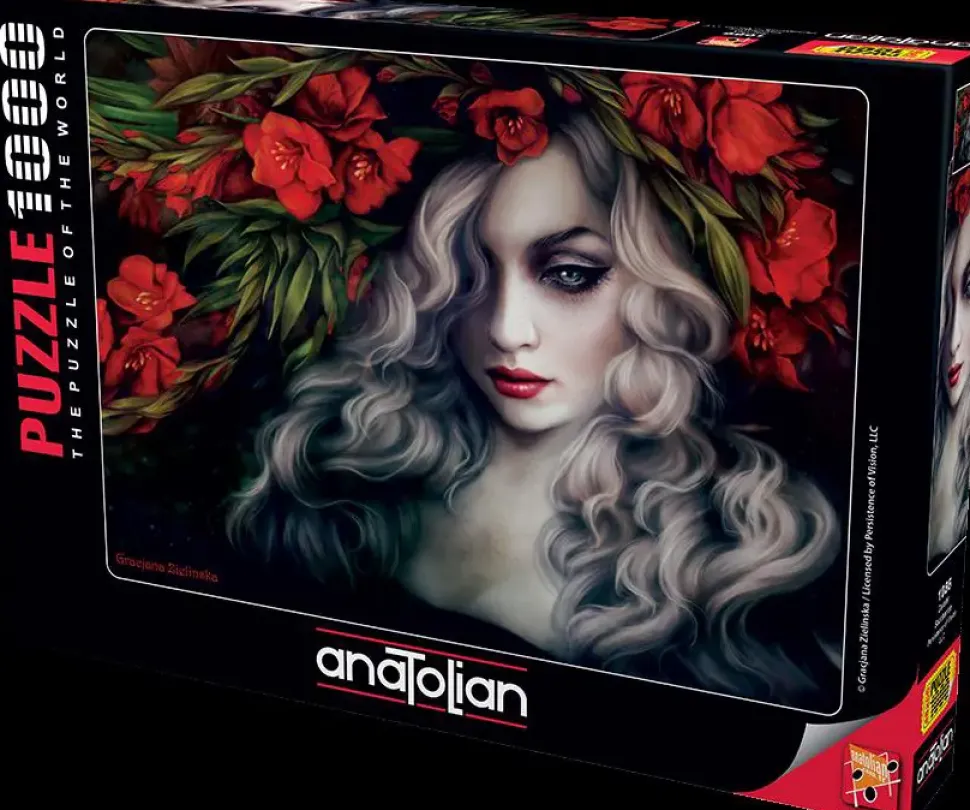 Puzzle Zarafet Saccharine Persistence of Vision