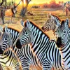 Puzzle Zebras e amigos